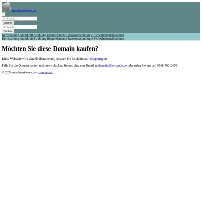 Screenshot mischreaktoren.de