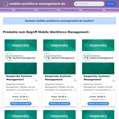 Screenshot mobile-workforce-management.de