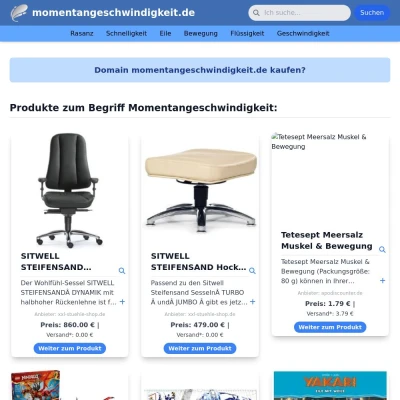 Screenshot momentangeschwindigkeit.de