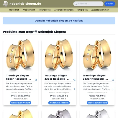 Screenshot nebenjob-siegen.de