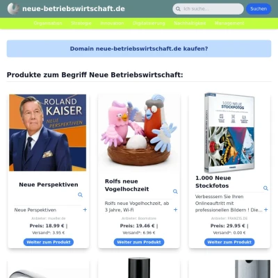 Screenshot neue-betriebswirtschaft.de