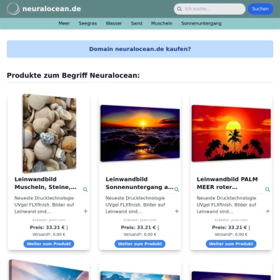 Screenshot neuralocean.de