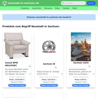 Screenshot neustadt-in-sachsen.de
