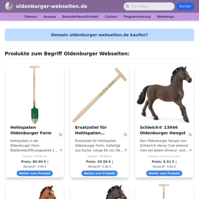 Screenshot oldenburger-webseiten.de