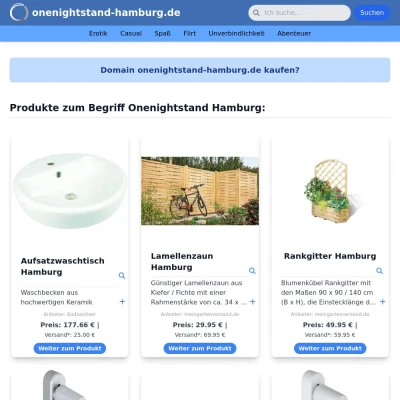 Screenshot onenightstand-hamburg.de