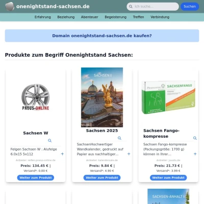 Screenshot onenightstand-sachsen.de