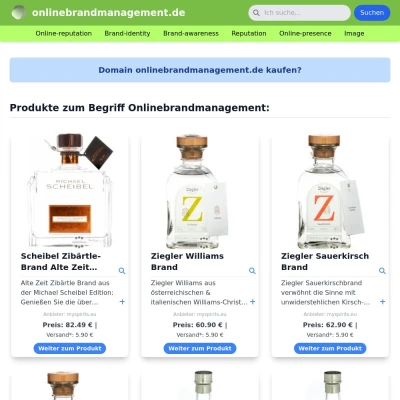 Screenshot onlinebrandmanagement.de