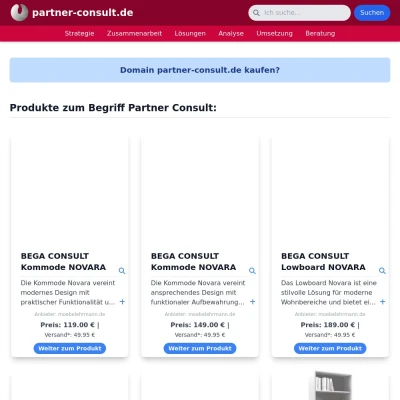 Screenshot partner-consult.de