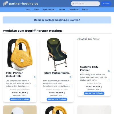 Screenshot partner-hosting.de