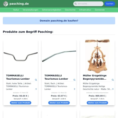 Screenshot pasching.de