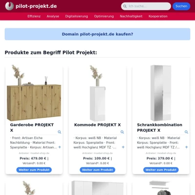 Screenshot pilot-projekt.de