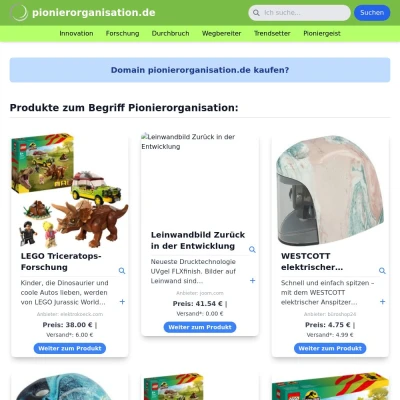 Screenshot pionierorganisation.de