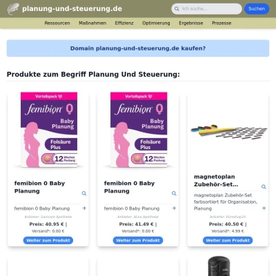 Screenshot planung-und-steuerung.de