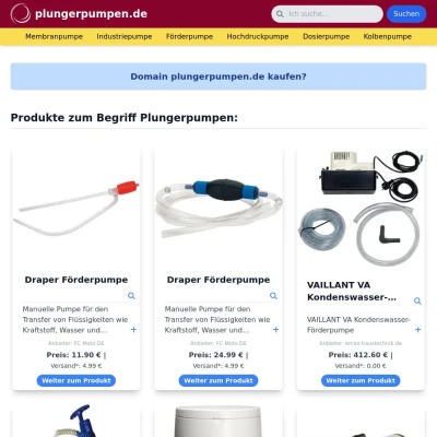 Screenshot plungerpumpen.de