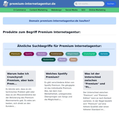 Screenshot premium-internetagentur.de