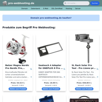 Screenshot pro-webhosting.de