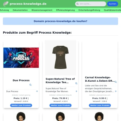 Screenshot process-knowledge.de