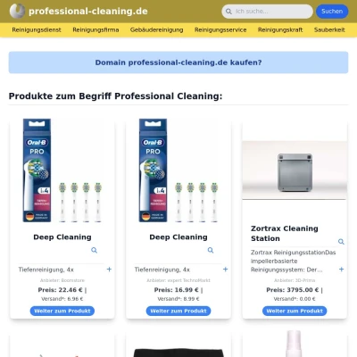 Screenshot professional-cleaning.de