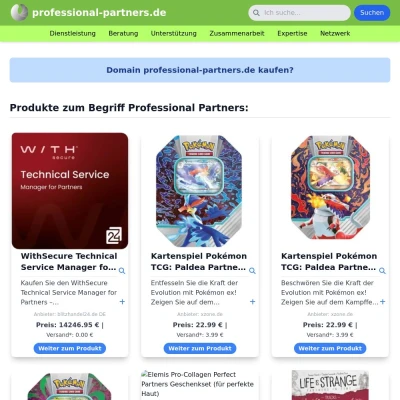 Screenshot professional-partners.de