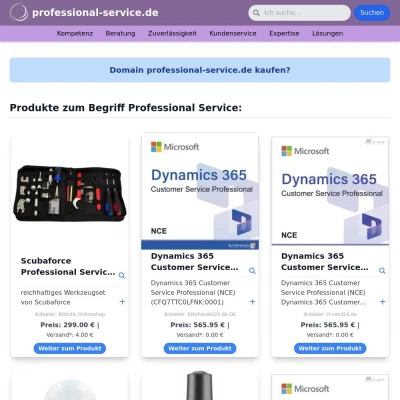 Screenshot professional-service.de