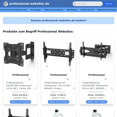 Screenshot professional-websites.de