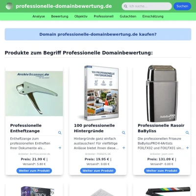 Screenshot professionelle-domainbewertung.de