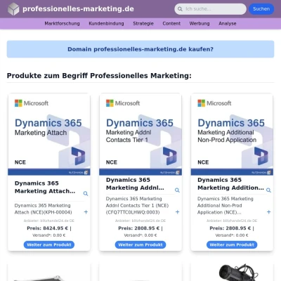 Screenshot professionelles-marketing.de