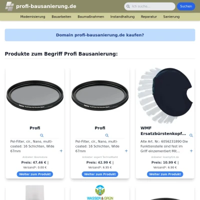 Screenshot profi-bausanierung.de