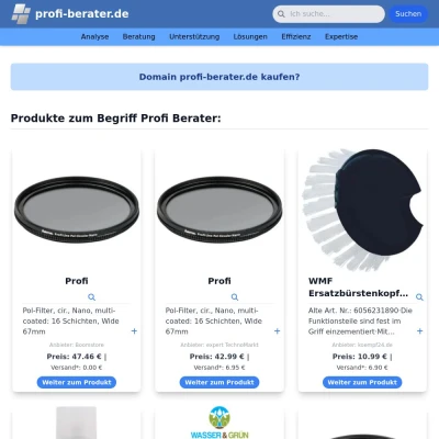 Screenshot profi-berater.de