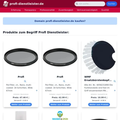 Screenshot profi-dienstleister.de