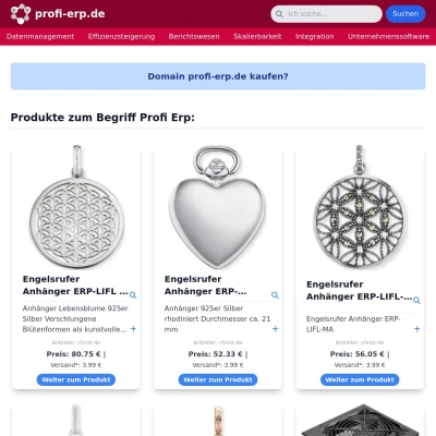 Screenshot profi-erp.de
