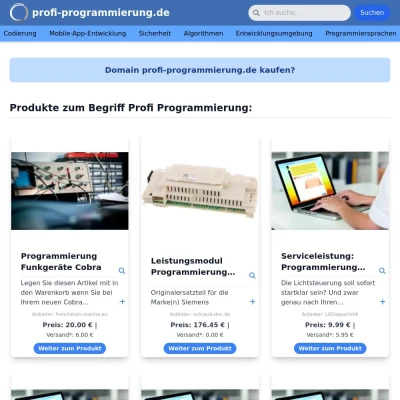 Screenshot profi-programmierung.de