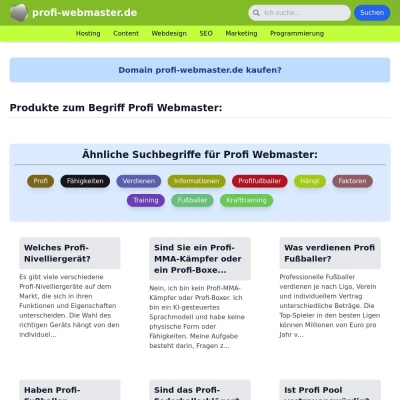 Screenshot profi-webmaster.de