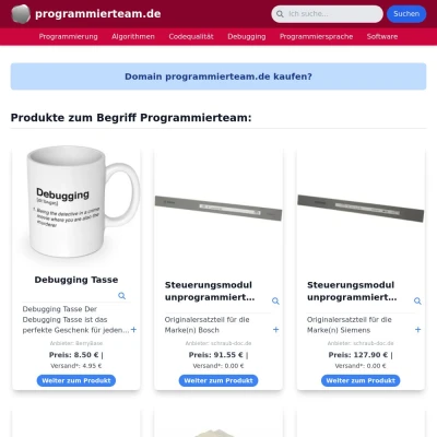 Screenshot programmierteam.de