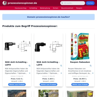 Screenshot prozessionsspinner.de