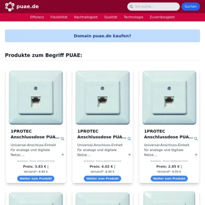 Screenshot puae.de