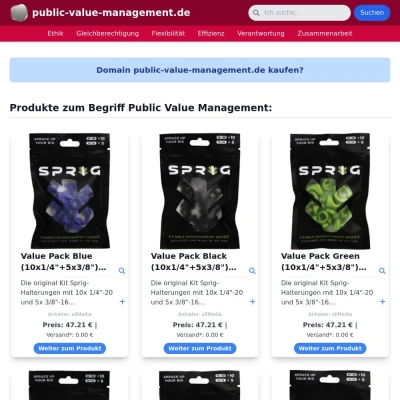Screenshot public-value-management.de