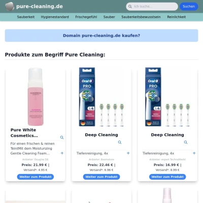 Screenshot pure-cleaning.de