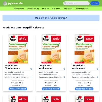 Screenshot pylorus.de