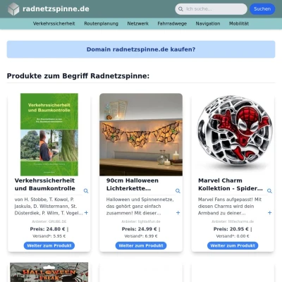 Screenshot radnetzspinne.de