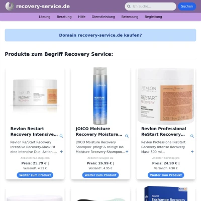 Screenshot recovery-service.de