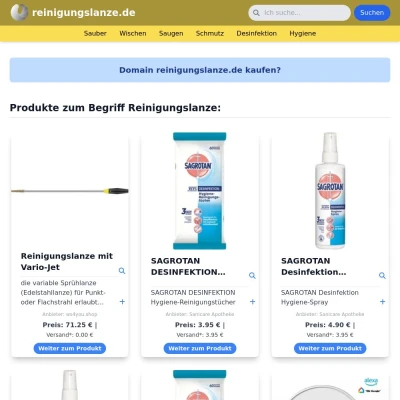 Screenshot reinigungslanze.de