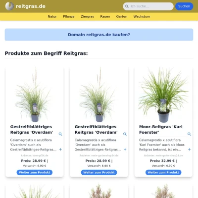 Screenshot reitgras.de