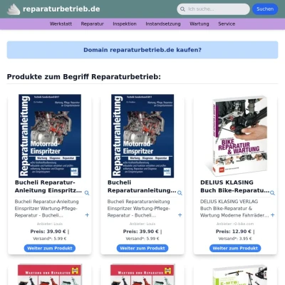 Screenshot reparaturbetrieb.de