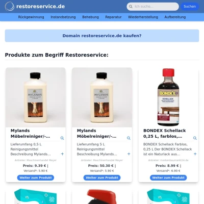 Screenshot restoreservice.de