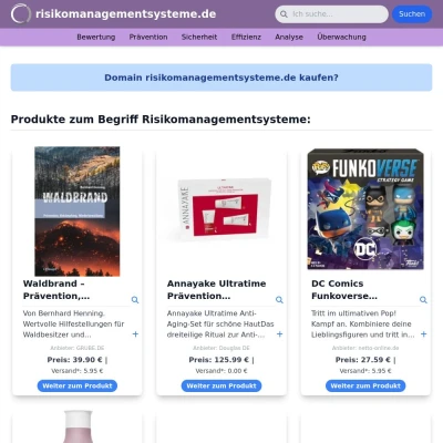 Screenshot risikomanagementsysteme.de