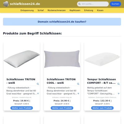 Screenshot schlafkissen24.de