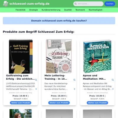 Screenshot schluessel-zum-erfolg.de