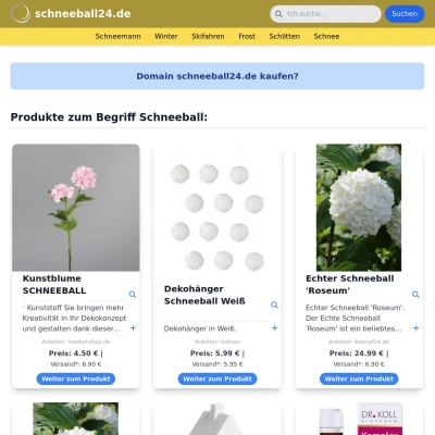 Screenshot schneeball24.de