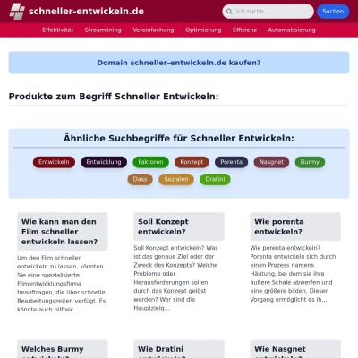 Screenshot schneller-entwickeln.de